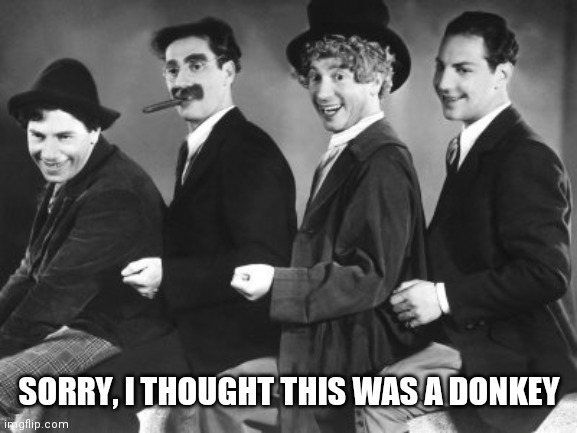 Marx Brothers | SORRY, I THOUGHT THIS WAS A DONKEY | image tagged in marx brothers | made w/ Imgflip meme maker