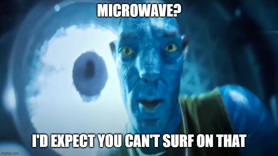 Staring Avatar Guy | MICROWAVE? I'D EXPECT YOU CAN'T SURF ON THAT | image tagged in staring avatar guy | made w/ Imgflip meme maker