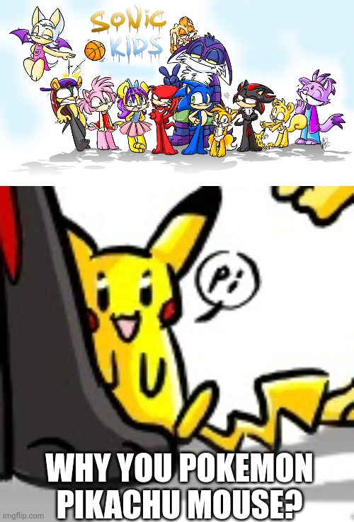 WHY YOU POKEMON PIKACHU MOUSE? | image tagged in sonickids- good group | made w/ Imgflip meme maker