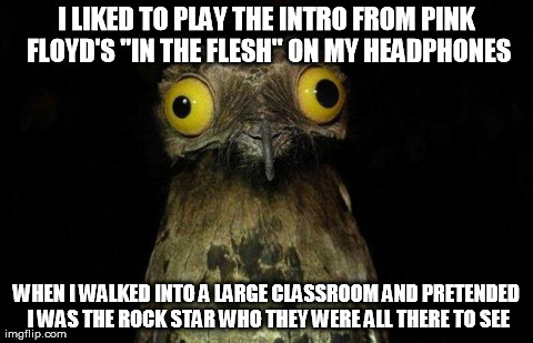 Wierd stuff I do potoo | I LIKED TO PLAY THE INTRO FROM PINK FLOYD'S "IN THE FLESH" ON MY HEADPHONES WHEN I WALKED INTO A LARGE CLASSROOM AND PRETENDED I WAS THE ROC | image tagged in wierd stuff i do potoo | made w/ Imgflip meme maker