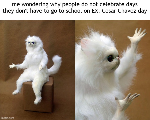 meme | me wondering why people do not celebrate days they don't have to go to school on EX: Cesar Chavez day | image tagged in memes,persian cat room guardian | made w/ Imgflip meme maker