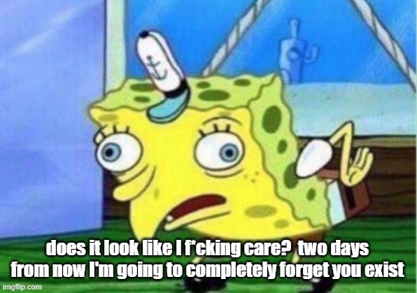 Mocking Spongebob Meme | does it look like I f*cking care?  two days from now I'm going to completely forget you exist | image tagged in memes,mocking spongebob | made w/ Imgflip meme maker
