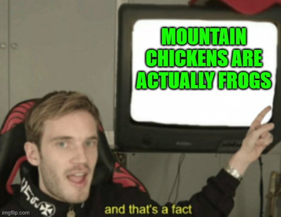 It's too confusing | MOUNTAIN CHICKENS ARE ACTUALLY FROGS | image tagged in and that's a fact,frog,chicken,funny,memes,well no but actually yes | made w/ Imgflip meme maker