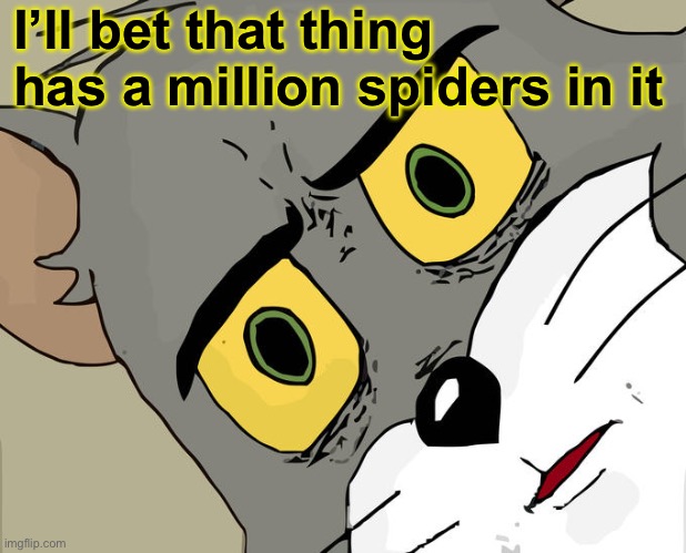 Unsettled Tom Meme | I’ll bet that thing has a million spiders in it | image tagged in memes,unsettled tom | made w/ Imgflip meme maker