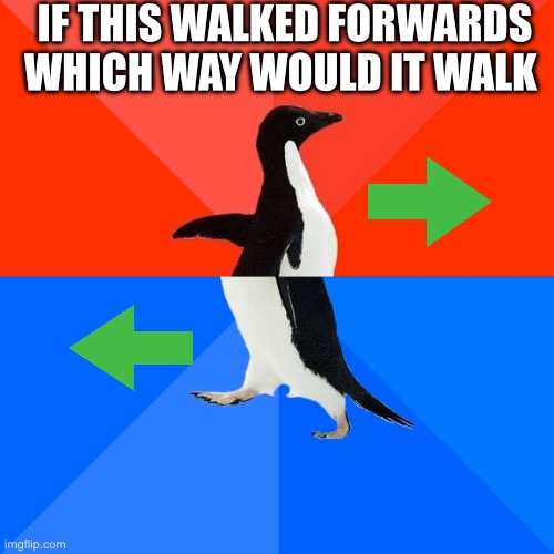 Socially Awesome Awkward Penguin Meme | IF THIS WALKED FORWARDS WHICH WAY WOULD IT WALK | image tagged in memes,socially awesome awkward penguin | made w/ Imgflip meme maker