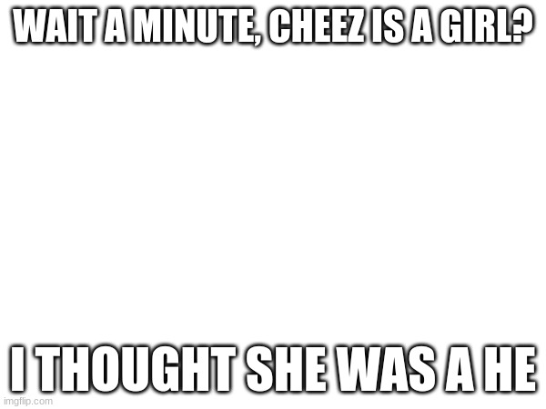 WAIT A MINUTE, CHEEZ IS A GIRL? I THOUGHT SHE WAS A HE | made w/ Imgflip meme maker