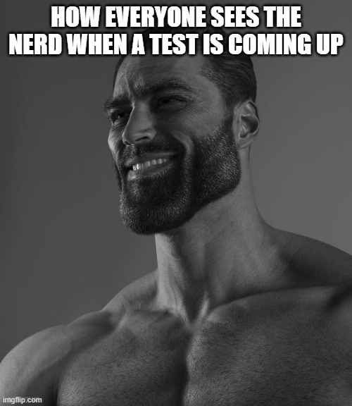 Giga Chad | HOW EVERYONE SEES THE NERD WHEN A TEST IS COMING UP | image tagged in giga chad | made w/ Imgflip meme maker