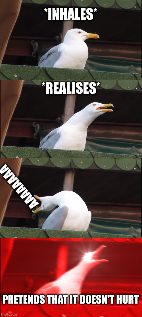 seagull stretches neck | *INHALES*; *REALISES*; AAAAAAAA; PRETENDS THAT IT DOESN'T HURT | image tagged in memes,inhaling seagull | made w/ Imgflip meme maker