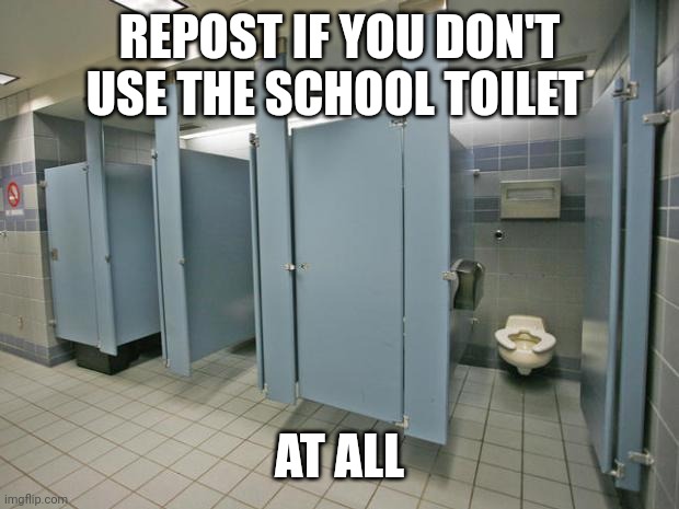 School bathroom | REPOST IF YOU DON'T USE THE SCHOOL TOILET; AT ALL | image tagged in bathroom stall | made w/ Imgflip meme maker