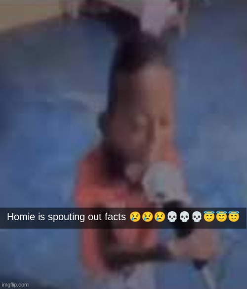 facts | Homie is spouting out facts 😢😢😢💀💀💀😇😇😇 | image tagged in memes,shitpost,msmg,oh wow are you actually reading these tags,you have been eternally cursed for reading the tags | made w/ Imgflip meme maker