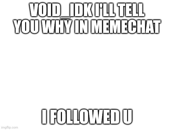 Ok? | VOID_IDK I'LL TELL YOU WHY IN MEMECHAT; I FOLLOWED U | image tagged in oh wow are you actually reading these tags | made w/ Imgflip meme maker