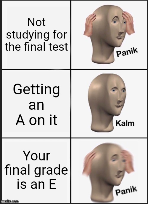 The truth about grades: | Not studying for the final test; Getting an A on it; Your final grade is an E | image tagged in memes | made w/ Imgflip meme maker