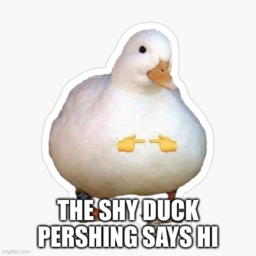 shy duck | THE SHY DUCK PERSHING SAYS HI | image tagged in shy duck | made w/ Imgflip meme maker