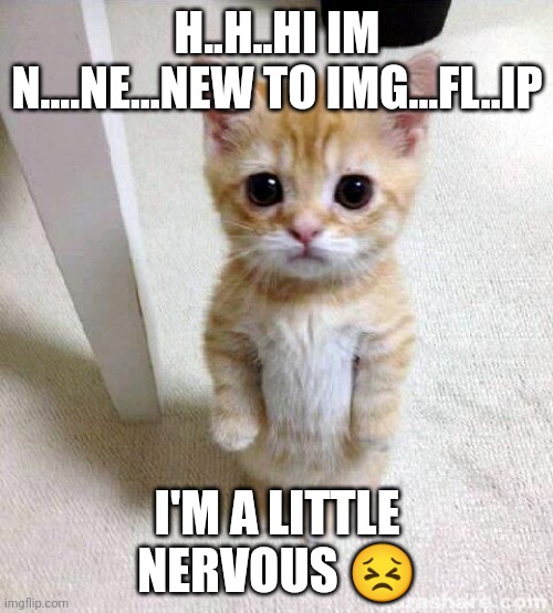 Hi? | H..H..HI IM N....NE...NEW TO IMG...FL..IP; I'M A LITTLE NERVOUS 😣 | image tagged in memes,cute cat | made w/ Imgflip meme maker