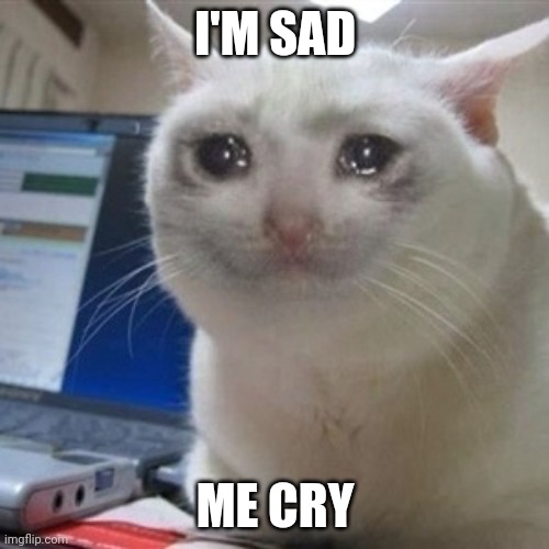 ;( | I'M SAD; ME CRY | image tagged in crying cat | made w/ Imgflip meme maker