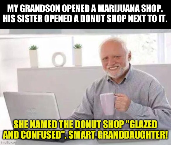 Grand kids | MY GRANDSON OPENED A MARIJUANA SHOP. HIS SISTER OPENED A DONUT SHOP NEXT TO IT. SHE NAMED THE DONUT SHOP "GLAZED AND CONFUSED". SMART GRANDDAUGHTER! | image tagged in harold | made w/ Imgflip meme maker