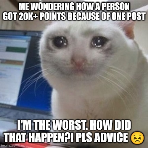 :( | ME WONDERING HOW A PERSON GOT 20K+ POINTS BECAUSE OF ONE POST; I'M THE WORST. HOW DID THAT HAPPEN?! PLS ADVICE 😣 | image tagged in crying cat | made w/ Imgflip meme maker