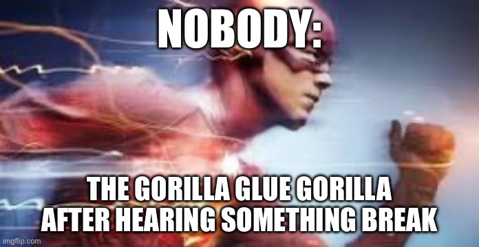 NOBODY:; THE GORILLA GLUE GORILLA AFTER HEARING SOMETHING BREAK | made w/ Imgflip meme maker