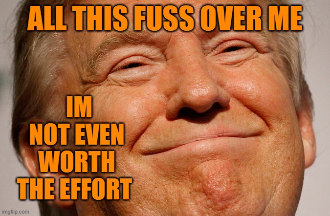 Trump Smile | ALL THIS FUSS OVER ME IM NOT EVEN WORTH THE EFFORT | image tagged in trump smile | made w/ Imgflip meme maker