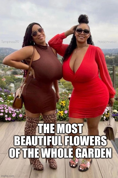 Beautiful | THE MOST BEAUTIFUL FLOWERS OF THE WHOLE GARDEN | image tagged in big boobs | made w/ Imgflip meme maker