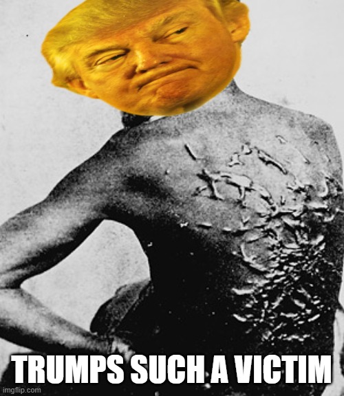 Whipped slave | TRUMPS SUCH A VICTIM | image tagged in whipped slave | made w/ Imgflip meme maker