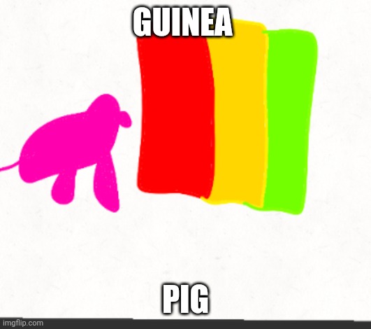 Guinea pig | GUINEA; PIG | image tagged in guinea pig | made w/ Imgflip meme maker