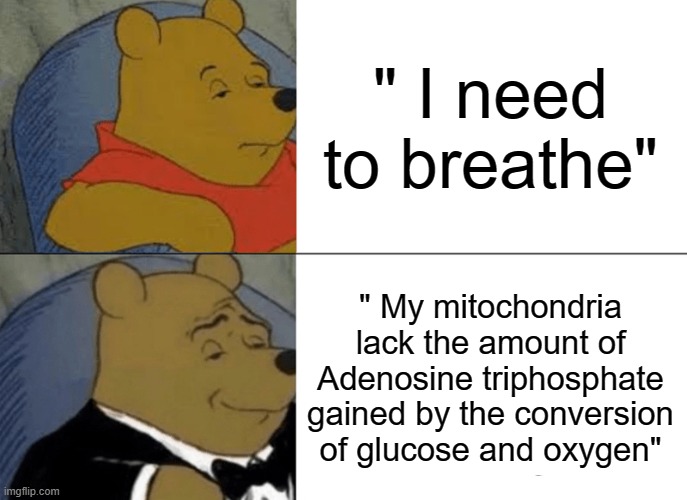 Tuxedo Winnie The Pooh Meme | " I need to breathe"; " My mitochondria lack the amount of Adenosine triphosphate gained by the conversion of glucose and oxygen" | image tagged in memes,tuxedo winnie the pooh | made w/ Imgflip meme maker