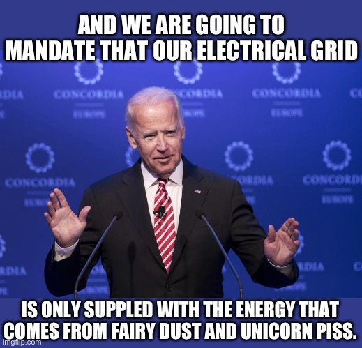 Energy mind farts | AND WE ARE GOING TO MANDATE THAT OUR ELECTRICAL GRID; IS ONLY SUPPLED WITH THE ENERGY THAT COMES FROM FAIRY DUST AND UNICORN PISS. | image tagged in joe biden | made w/ Imgflip meme maker