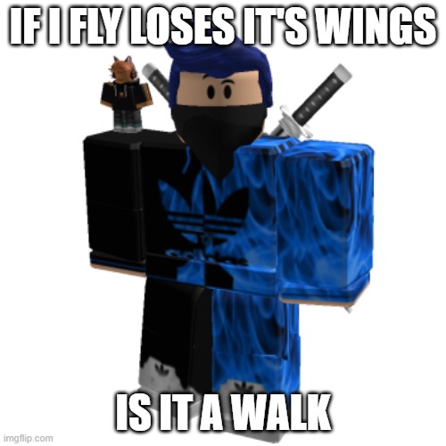 Zero Frost | IF I FLY LOSES IT'S WINGS; IS IT A WALK | image tagged in zero frost | made w/ Imgflip meme maker