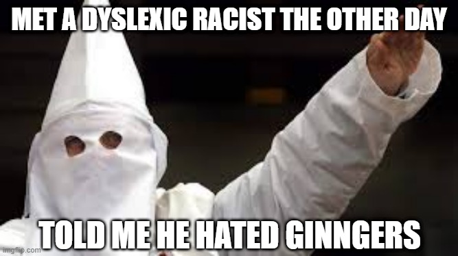 Fite Ilterasy an Dyslexia | MET A DYSLEXIC RACIST THE OTHER DAY; TOLD ME HE HATED GINNGERS | image tagged in the racism doesn't exist racist | made w/ Imgflip meme maker