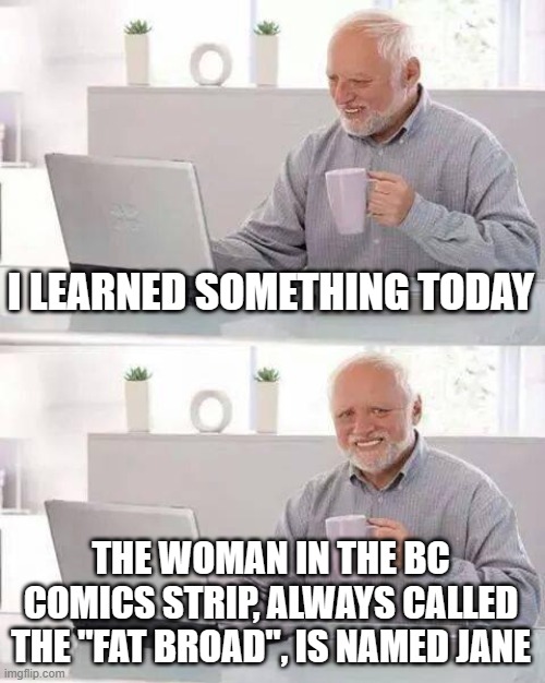Gotta be 50 years, and I never knew | I LEARNED SOMETHING TODAY; THE WOMAN IN THE BC COMICS STRIP, ALWAYS CALLED THE "FAT BROAD", IS NAMED JANE | image tagged in memes,hide the pain harold | made w/ Imgflip meme maker