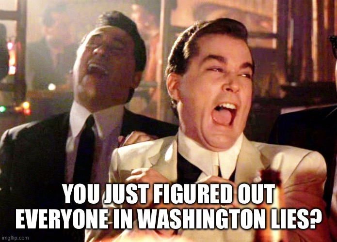 Good Fellas Hilarious Meme | YOU JUST FIGURED OUT EVERYONE IN WASHINGTON LIES? | image tagged in memes,good fellas hilarious | made w/ Imgflip meme maker