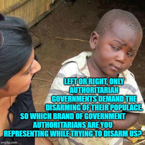 Out of the mouth of babes. | LEFT OR RIGHT, ONLY AUTHORITARIAN GOVERNMENTS DEMAND THE DISARMING OF THEIR POPULACE. SO WHICH BRAND OF GOVERNMENT AUTHORITARIANS ARE YOU REPRESENTING WHILE TRYING TO DISARM US? | image tagged in third world skeptical kid | made w/ Imgflip meme maker