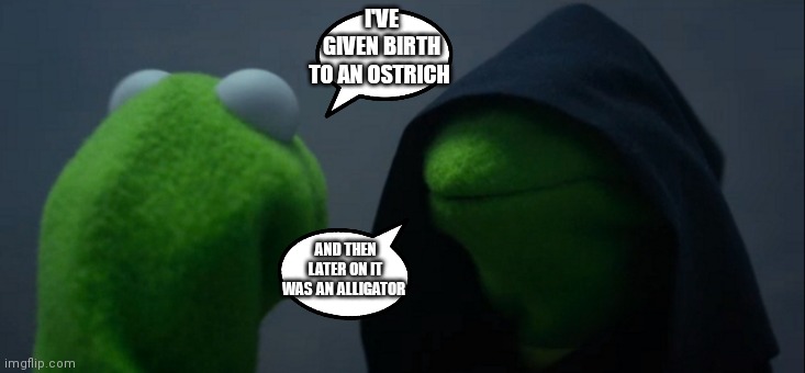 Evil Kermit telling Kermit his birth history | I'VE GIVEN BIRTH TO AN OSTRICH; AND THEN LATER ON IT WAS AN ALLIGATOR | image tagged in memes,evil kermit,funny memes,kermit the frog | made w/ Imgflip meme maker