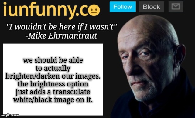 if I brighten my images up, I want it brighter, not more pale | we should be able to actually brighten/darken our images. the brightness option just adds a transculate white/black image on it. | image tagged in iunfunny's mike ehrmantraut template | made w/ Imgflip meme maker