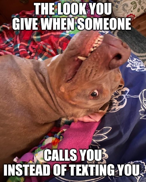 Johnny Hollywood | THE LOOK YOU GIVE WHEN SOMEONE; CALLS YOU INSTEAD OF TEXTING YOU | image tagged in annoyed and confused dog | made w/ Imgflip meme maker