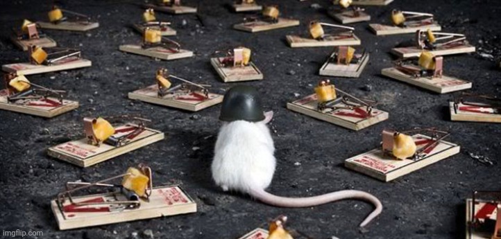mine minefield trap cheese mouse | image tagged in mine minefield trap cheese mouse | made w/ Imgflip meme maker
