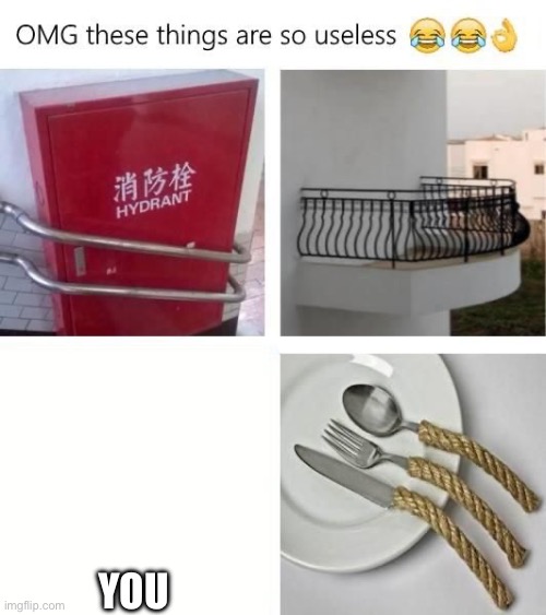 Useless things | YOU | image tagged in useless things,fun,you | made w/ Imgflip meme maker