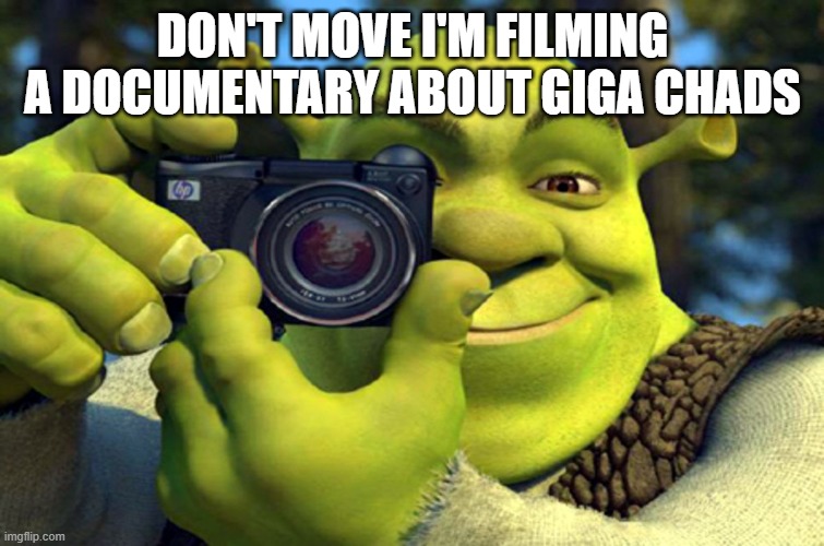 shrek camera | DON'T MOVE I'M FILMING A DOCUMENTARY ABOUT GIGA CHADS | image tagged in shrek camera | made w/ Imgflip meme maker