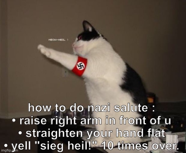 adolfs birthday was 3 days ago btw | how to do nazi salute :
• raise right arm in front of u
• straighten your hand flat
• yell "sieg heil!" 10 times over. | image tagged in nazi salute | made w/ Imgflip meme maker