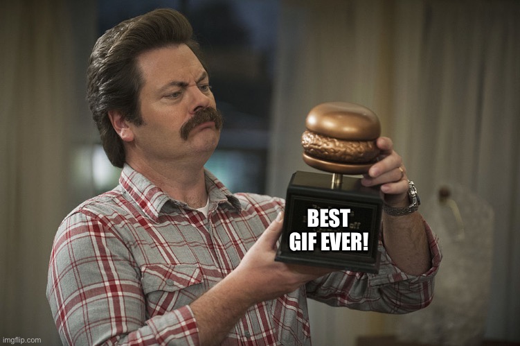 Best GIF Ever | BEST GIF EVER! | image tagged in ron swanson | made w/ Imgflip meme maker