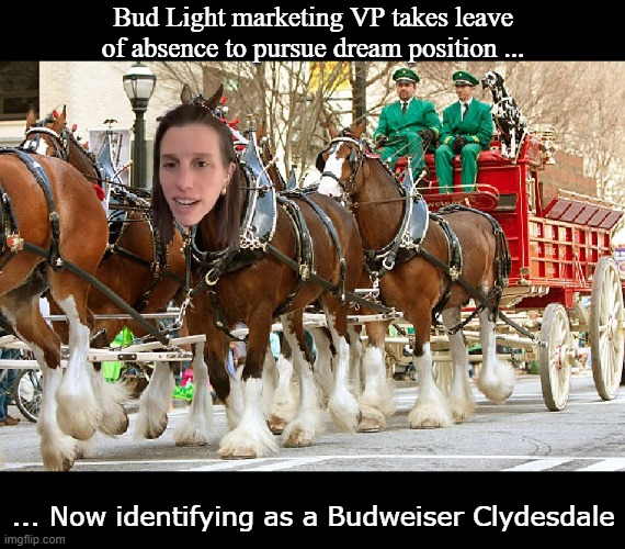 Alissa Heinerscheid | Bud Light marketing VP takes leave of absence to pursue dream position ... ... Now identifying as a Budweiser Clydesdale | image tagged in memes,funny memes,funny,mxm | made w/ Imgflip meme maker