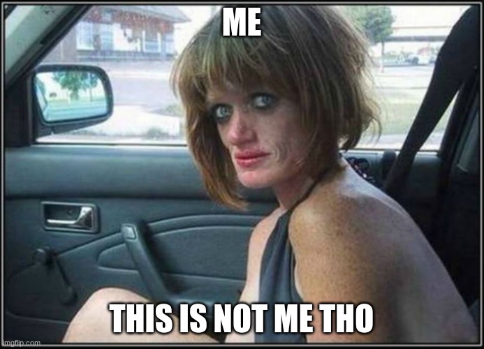 Ugly meth heroin addict Prostitute hoe in car | ME THIS IS NOT ME THO | image tagged in ugly meth heroin addict prostitute hoe in car | made w/ Imgflip meme maker