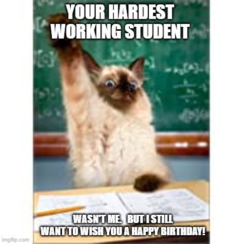 teacher birthday | YOUR HARDEST WORKING STUDENT; WASN'T ME.   BUT I STILL WANT TO WISH YOU A HAPPY BIRTHDAY! | image tagged in cat,birthday,teacher,student | made w/ Imgflip meme maker