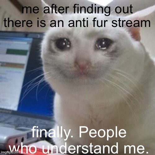 Crying cat | me after finding out there is an anti fur stream finally. People who understand me. | image tagged in crying cat | made w/ Imgflip meme maker
