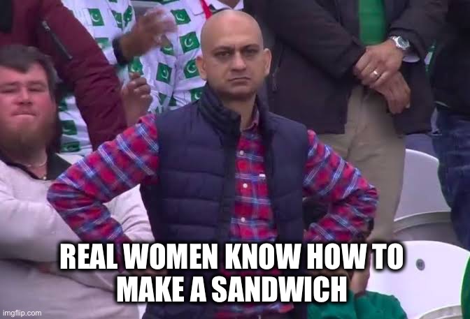 Disappointed Man | REAL WOMEN KNOW HOW TO 
MAKE A SANDWICH | image tagged in disappointed man | made w/ Imgflip meme maker