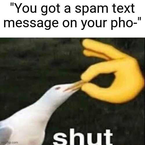This happened to me a lot of times | "You got a spam text message on your pho-" | image tagged in shut,memes | made w/ Imgflip meme maker