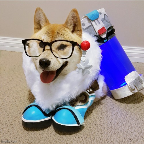 image tagged in cosplay,dogs | made w/ Imgflip meme maker