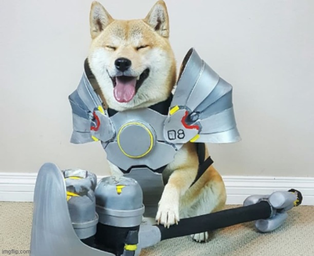 image tagged in cosplay,dogs | made w/ Imgflip meme maker