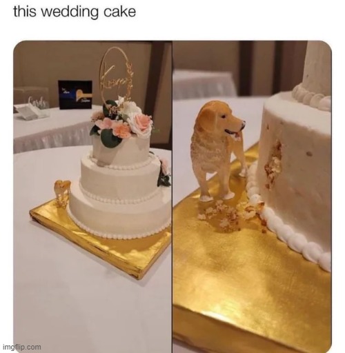 image tagged in wholesome | made w/ Imgflip meme maker